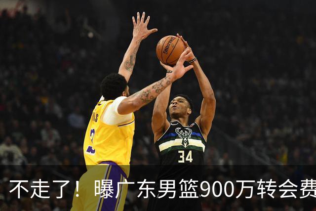 不走了！曝广东男篮900万转会费签下昔日状元内线，杜锋拒绝摆烂